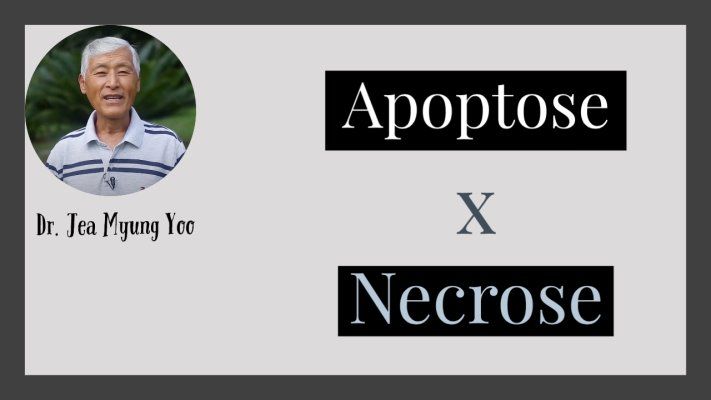 Apoptose x Necrose - Dr. Jea Myung Yoo