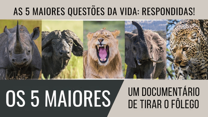 ÁFRICA Parte 2 - Os Cinco Maiores - WALTER VEITH