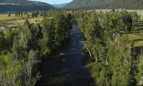 Come Christians, Join to Sing - Momentos de Paz