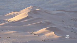 Momentos de Paz – Retratos da Criação 1